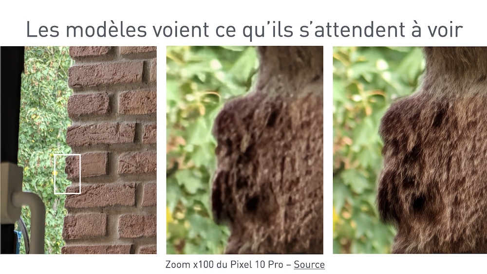 Les modèles voient ce qu'ils s'attendent à voir